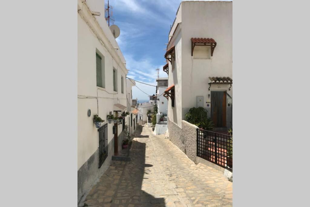 サロブレーニャ Casa Albayzinヴィラ エクステリア 写真